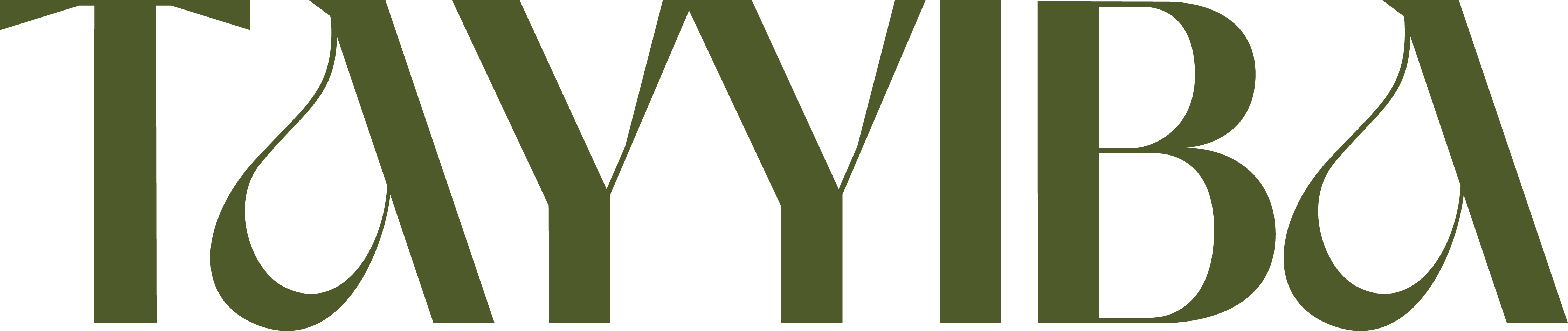Tayyiba Logo